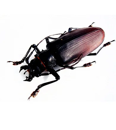 2-3-комнатная квартира